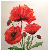 Mohnblumen