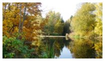 Der Herbst zieht ein
