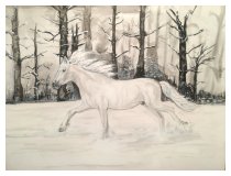 Ein Pony zu Weihnachten