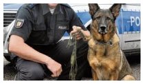 Immer im Einsatz