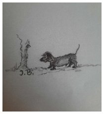 Aus dem Hundehimmel