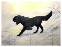 Der schlaue Retriever
