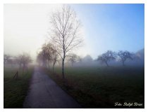 Wege