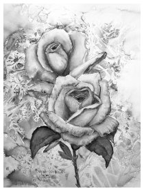 Schön, wie eine Rose