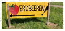 Erdbeerzeit