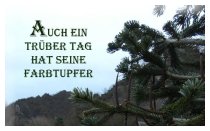 An guten Tagen