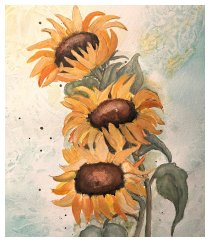 Die letzten Sonnenblumen