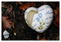DER TRAUM