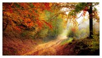 Herbststimmung