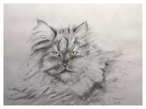 Kater Charly