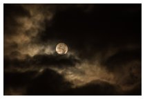 Diese Nacht...
