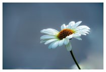 Ihre Sehnsucht...