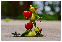 DER LIEBE FROSCH