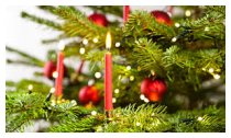 Der Christbaum