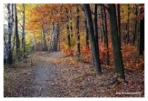 Herbsttraumzeiten 