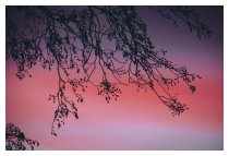 An den Himmel...