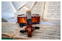 Ein Musiker vom Streichorchester