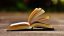 Literatur aus Aserbaidschan